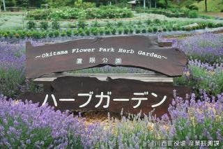 スポットの写真