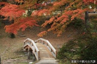 スポットの写真