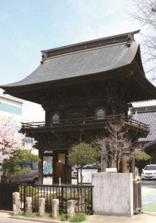 スポットの写真