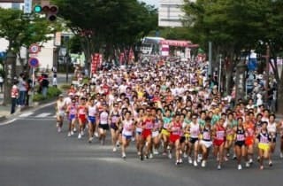 スポットの写真