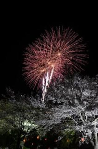 本宮市春まつり