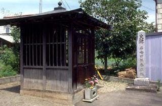 スポットの写真