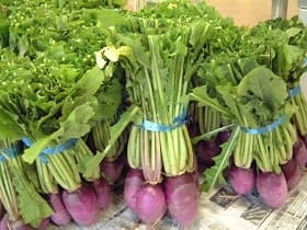 スポットの写真