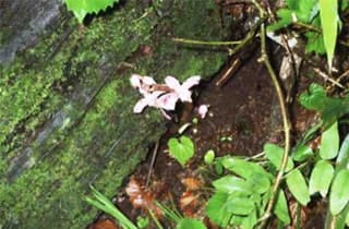 スポットの写真