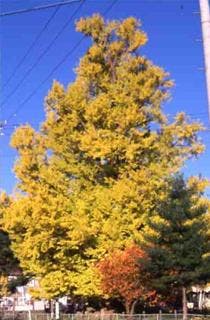 スポットの写真