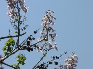 スポットの写真