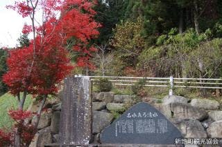 スポットの写真