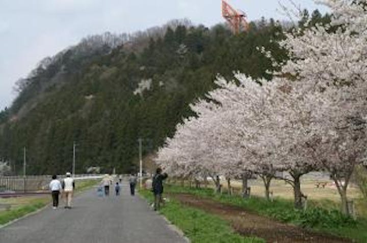 辰ノ口さくら祭り