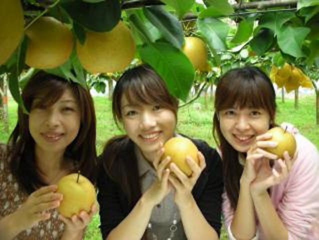 かすみがうら市千代田地区観光果樹園