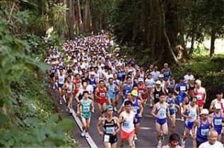 スポットの写真