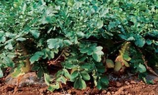 スポットの写真