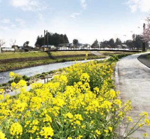 五行川サイクリングロード