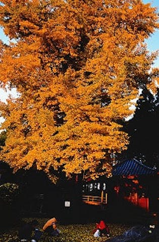 城興寺（延生地蔵尊）
