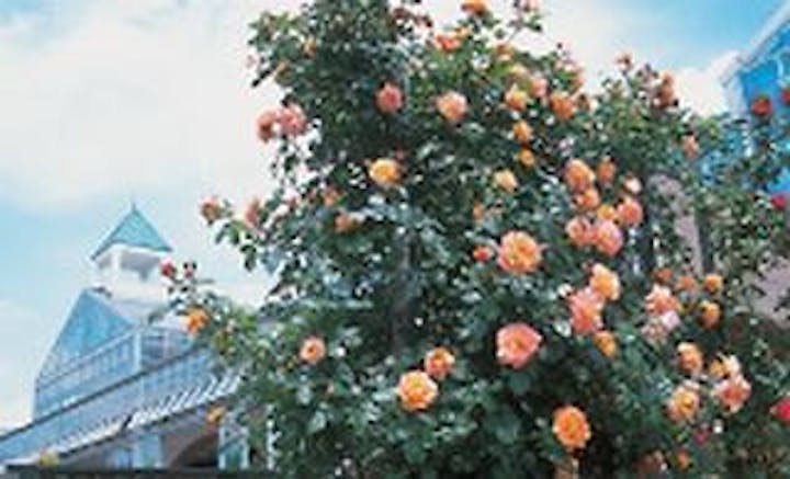 那須花と体験の森