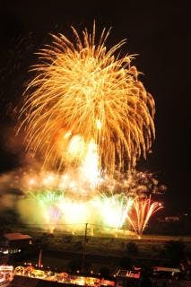 スポットの写真