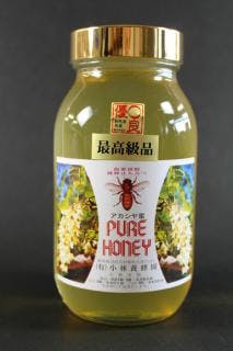 スポットの写真