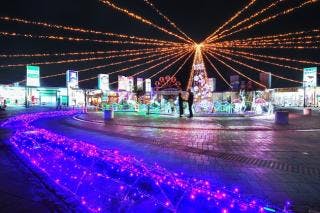 スポットの写真