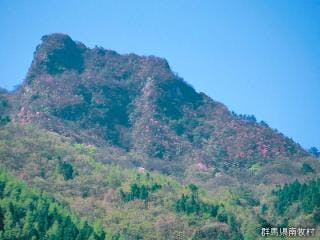 スポットの写真