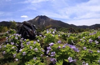 スポットの写真