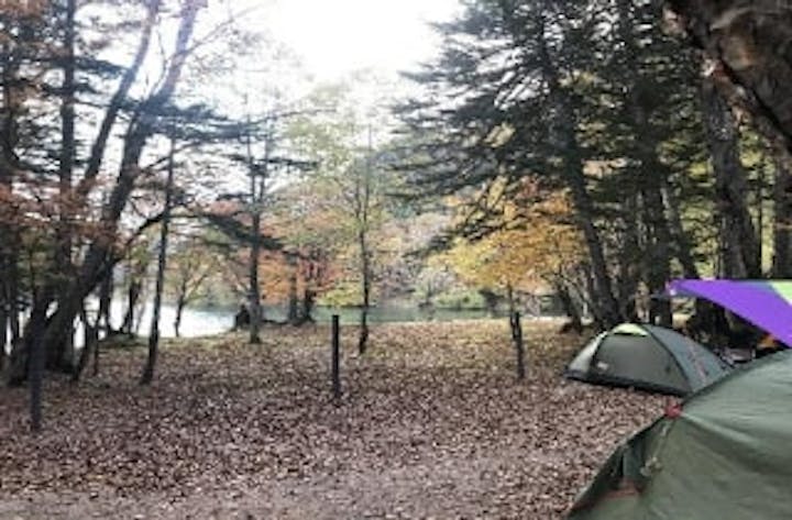 菅沼キャンプ村