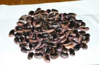 スポットの写真