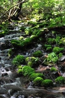 スポットの写真