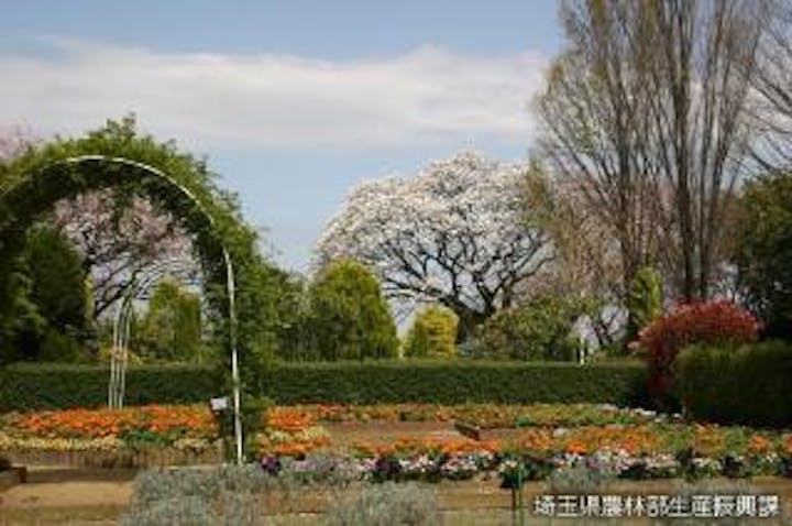 埼玉県花と緑の振興センター