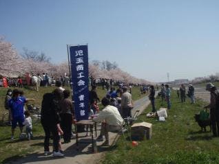 スポットの写真