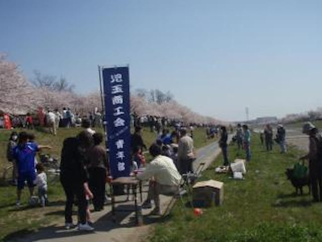 こだま千本桜まつり