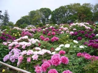 スポットの写真