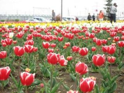 トヨタレンタリース新埼玉 鴻巣駅前店【アソビュー！】