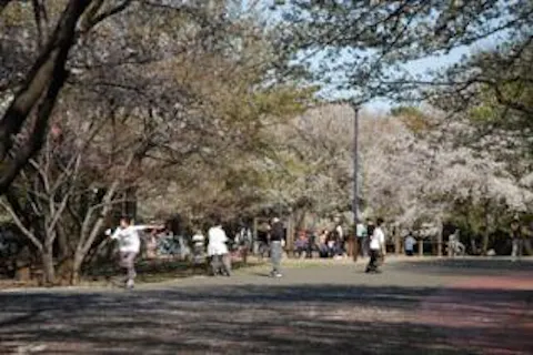 和光市総合児童センター アソビュー