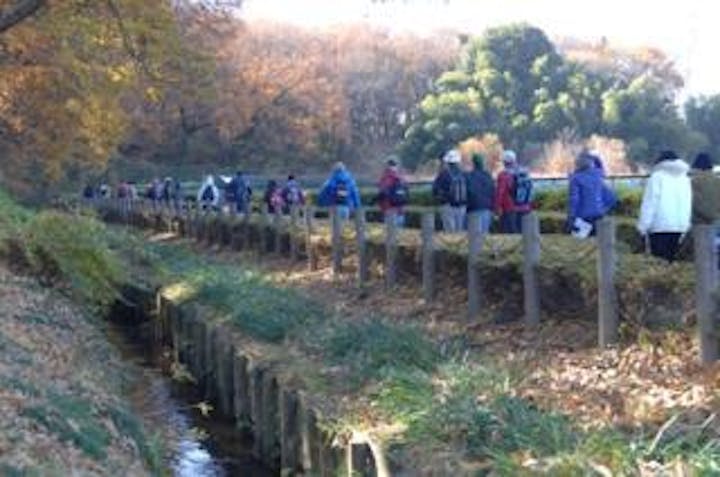 第14回アトムが案内“すぐそこ新座”発見ウォーキング