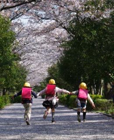 杉戸高野台さくら祭