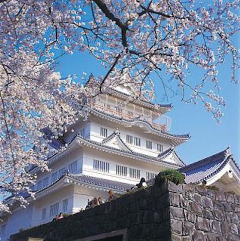 千葉市立郷土博物館