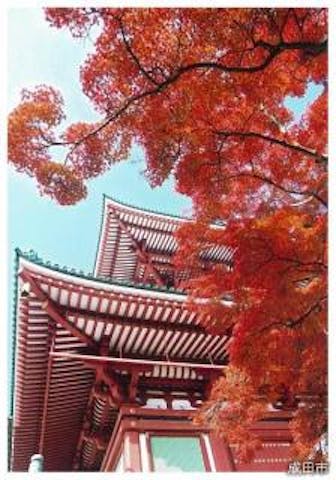 成田山公園の紅葉 アソビュー