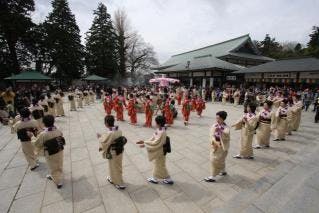 スポットの写真