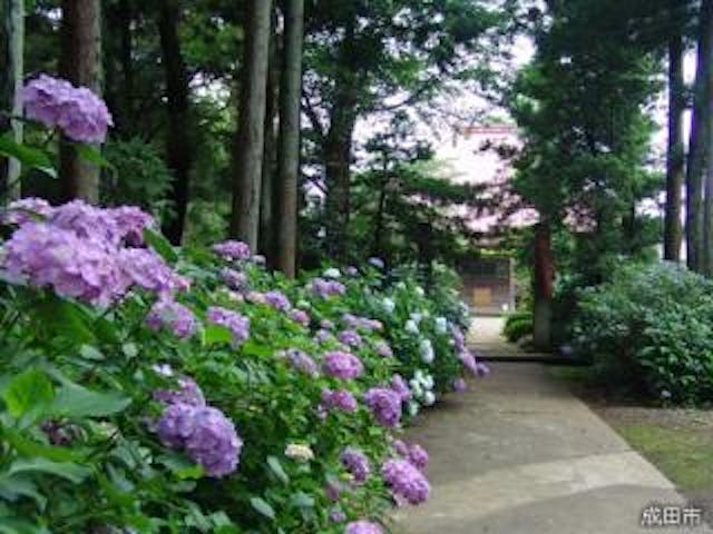 乗願寺（布袋尊）
