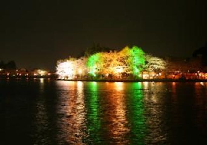 【2021年開催中止】東金桜まつり