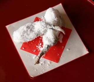 スポットの写真