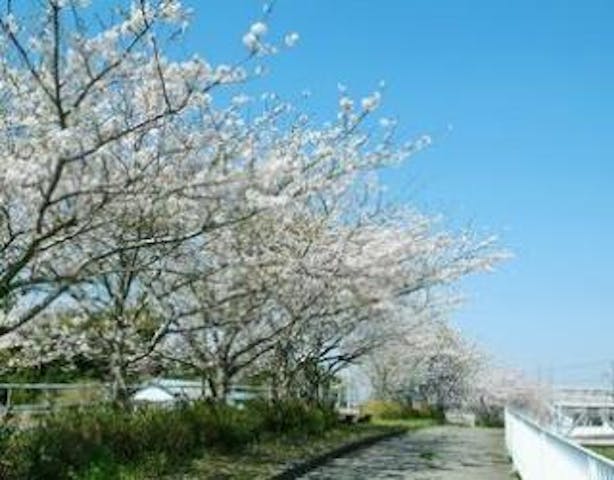 南白亀川遊歩道