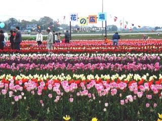 スポットの写真