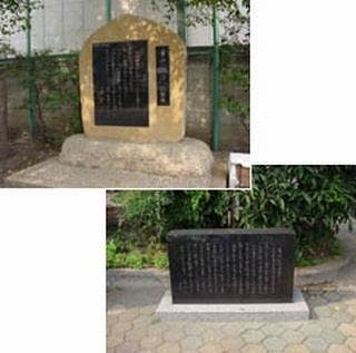 スポットの写真