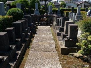 スポットの写真