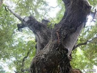 スポットの写真