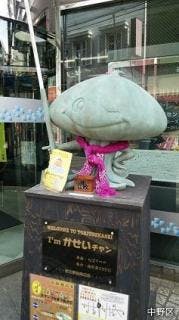 スポットの写真