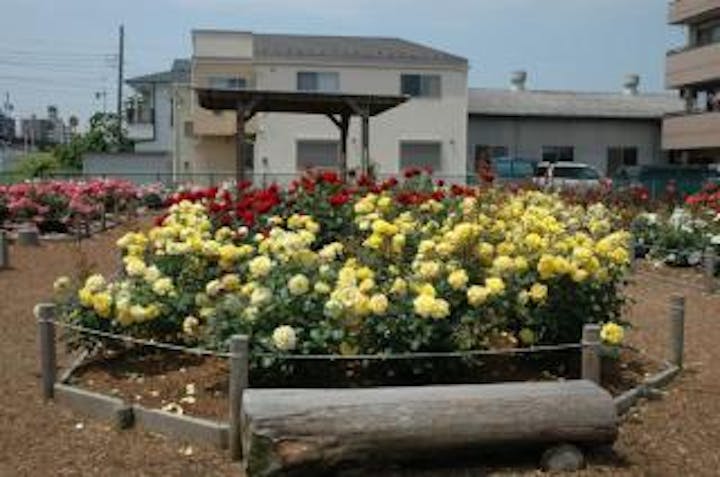 奥戸フラワーパーク