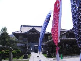 スポットの写真