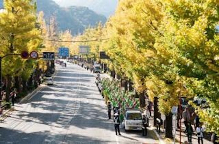 第42回八王子いちょう祭り