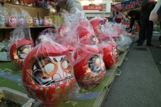 スポットの写真